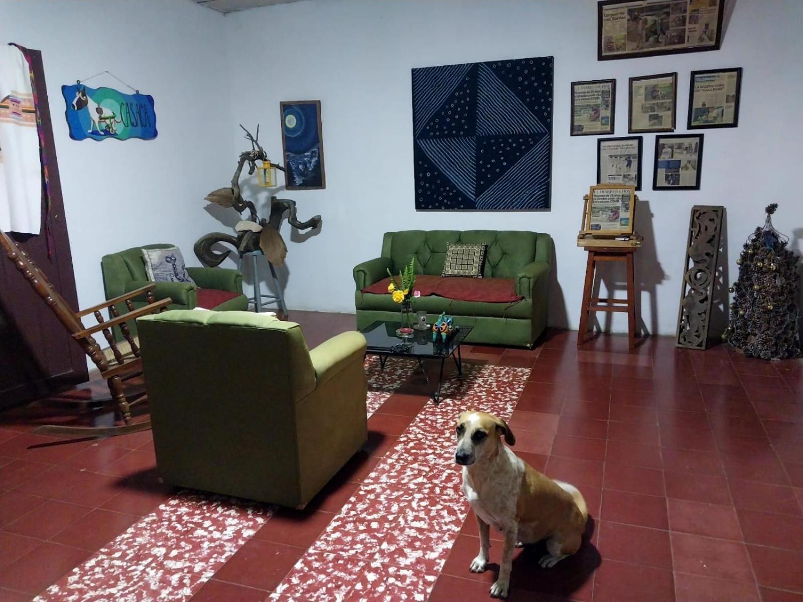 דירות Concepción de Ataco Casaca מראה חיצוני תמונה